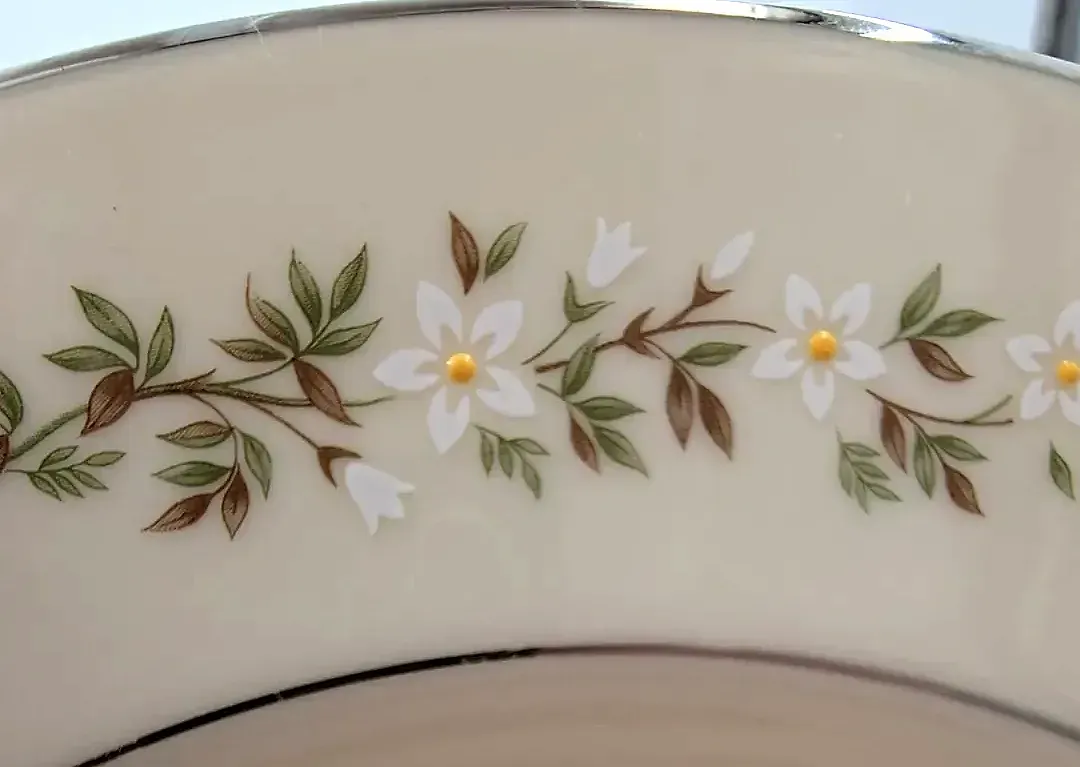 Vintage Lenox Brookdale China 37 Pc Dinnerware Service Set Platinum Trim Daisy — detail