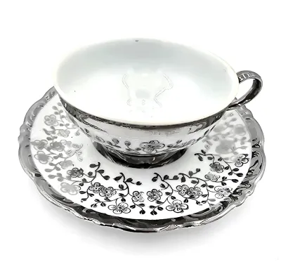 Vintage Schirnding Bavaria Germany Silver Floral Tea Cup & Saucer Porcelain