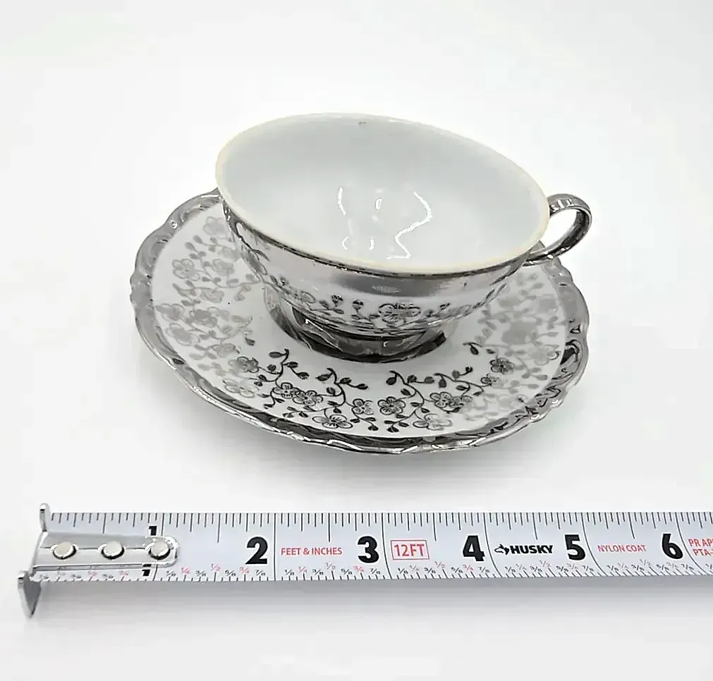 Vintage Schirnding Bavaria Germany Silver Floral Tea Cup & Saucer Porcelain