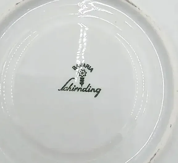 Vintage Schirnding Bavaria Germany Silver Floral Tea Cup & Saucer Porcelain
