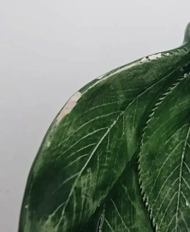 Vintage Made in Italy Green Leaf Majolica style Pottery Trinket Bowl