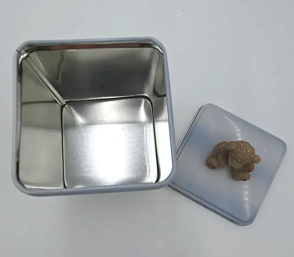 Bellagio Decorative Metal Tea Coffee Storage Tin Teddy Bear Lid Canister